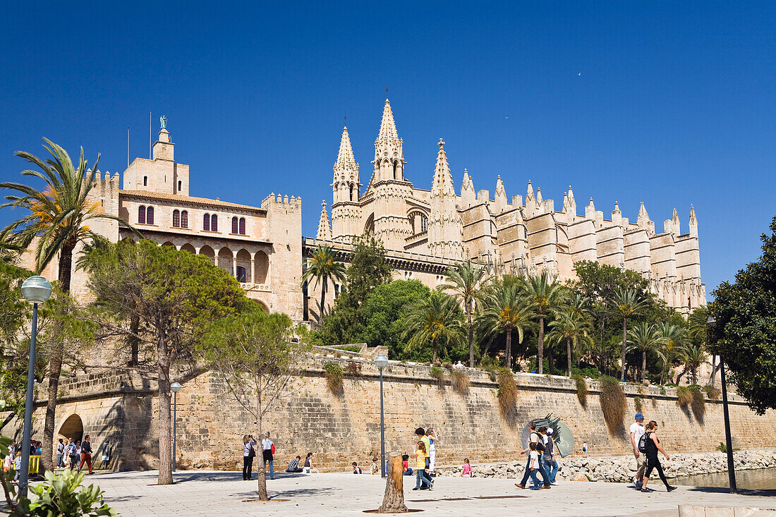 Menschen vor der Kathedrale La Seu im Sonnenlicht, Palma, Mallorca, Spanien, Europa