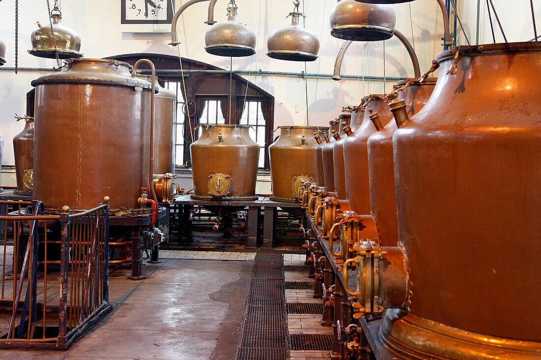 Distilling In Copper Vats Of The 27 Plants And Spices That Go Into The Liqueur, Benedictine Palace, Fecamp, Seine-Maritime (76), Normandy, France