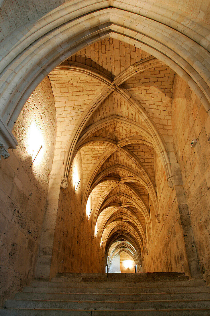 Ambulatory In The Lower Church, Bourges Cathedral, Cher (18), France