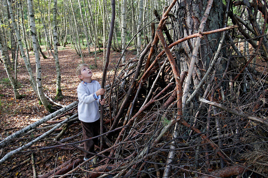 Estate Forest Of Vouzeron, Cher (18), France