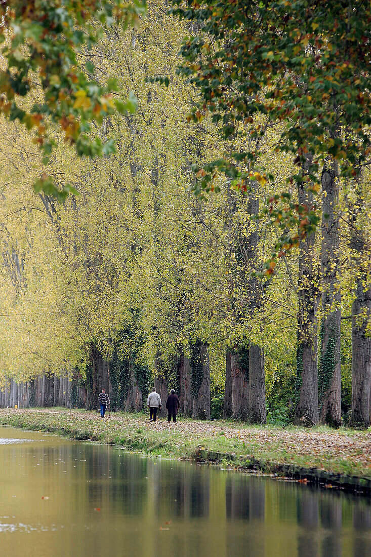 Strolling On The Banks Of The Canal Du Berry, Vierzon, Cher (18), France