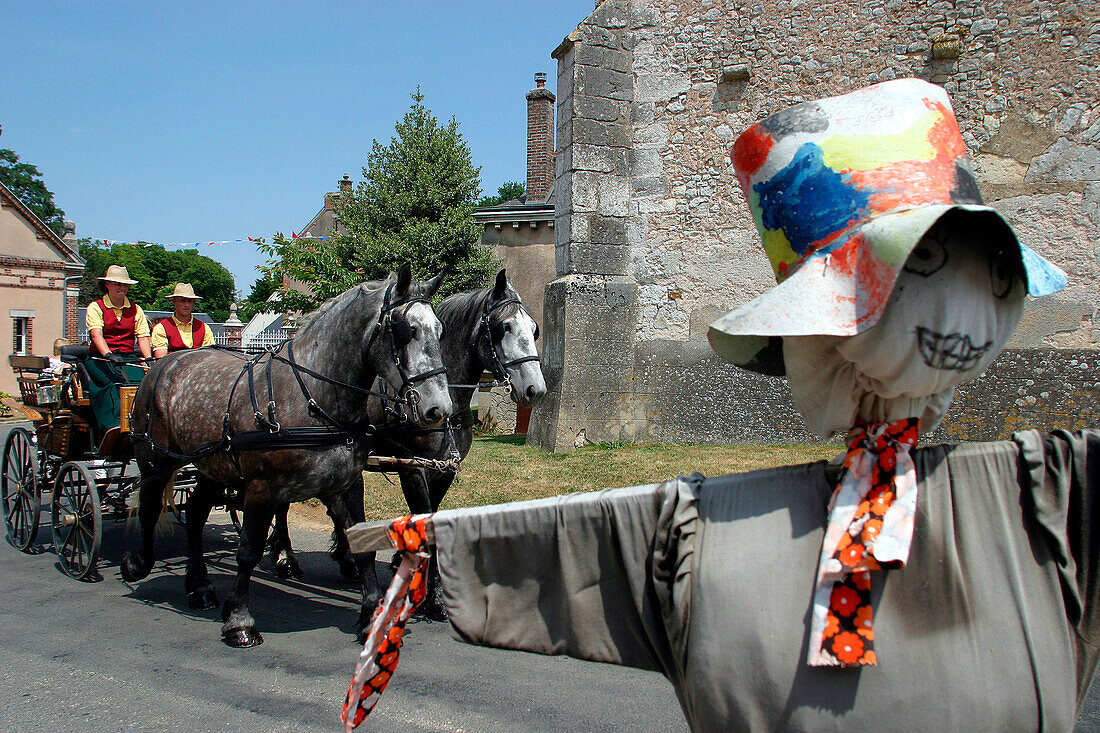 Harnessing Of Percheron Draught Horses, The Scarecrow Capital, Beville-Le-Comte, The Wheat Route, Eure-Et-Loir (28), France
