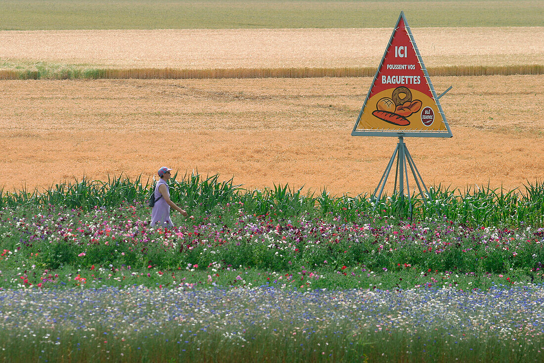 The Fields Of The Beauce, Louville-La-Chenard, The Wheat Route, Eure-Et-Loir (28), France