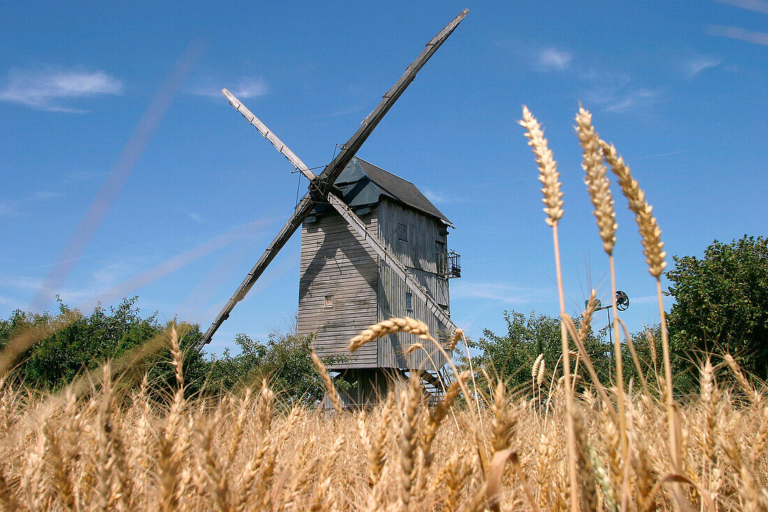 Wheat And Mill, Moutiers-En-Beauce, Eure-Et-Loir (28), France