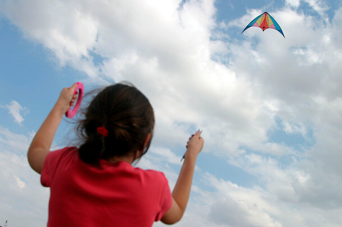 Kite, A Farm In The Wind, L'Hopiteau, Eure-Et-Loir (28), France