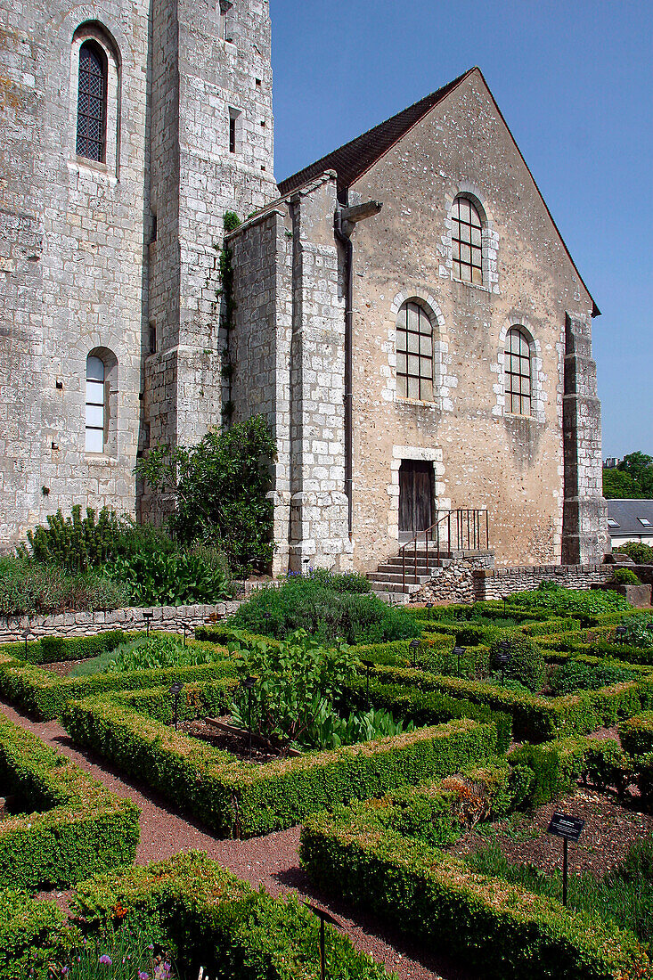 Gardens Of The Saint-Aignan Church, Chartres, Eure-Et-Loir (28), France