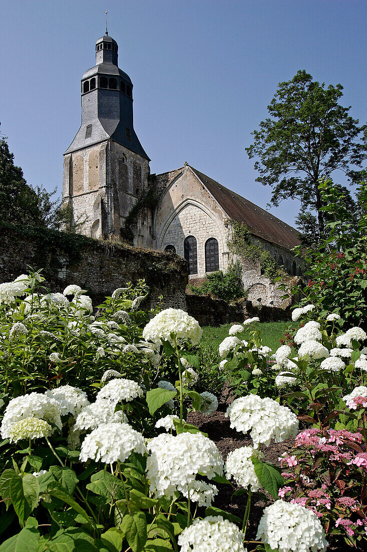 Low Angle Shot Of The Thiron-Gardais Abbey And Gardens, Eure-Et-Loir (28), France
