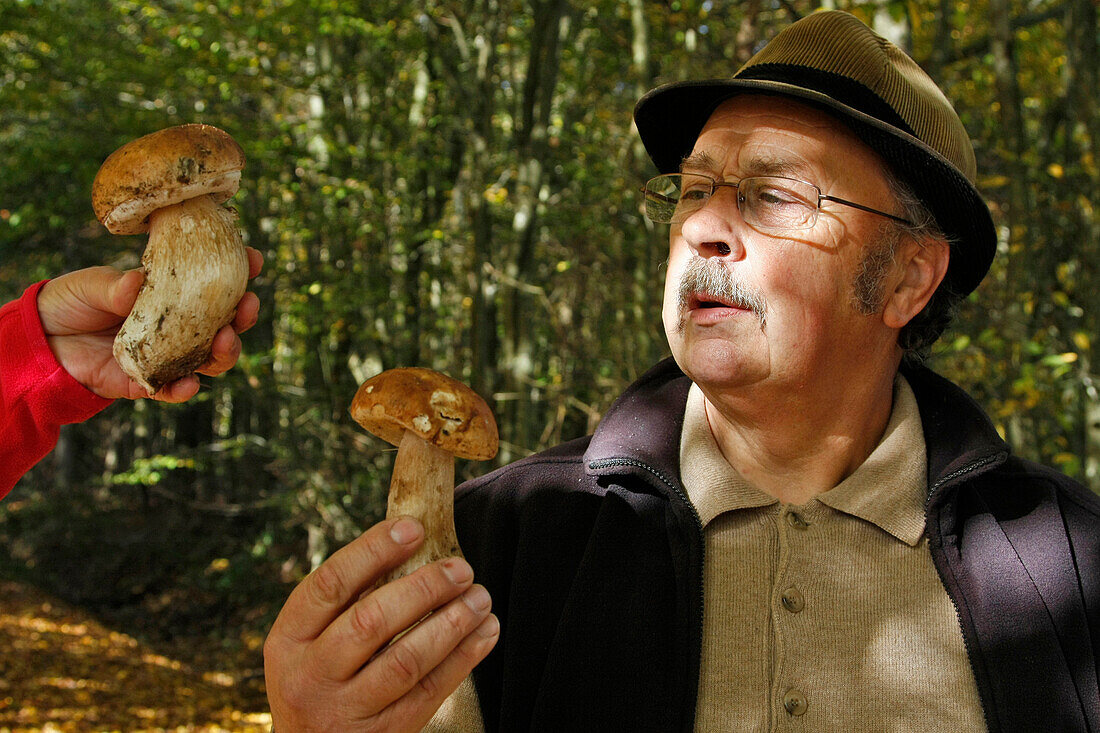 Mushroom Gatherers In The Forest Of Senonches, Eure-Et-Loir (28), France