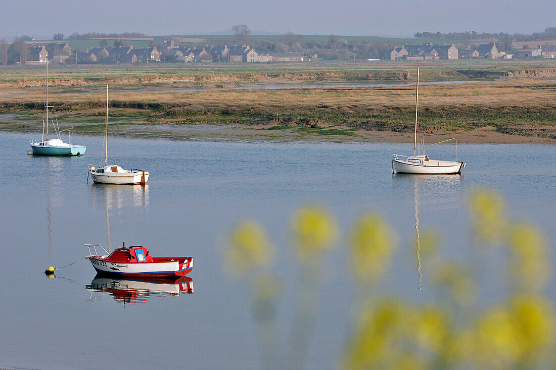 Port And Banks Of The Rance, Port Saint-Hubert, Ille-Et-Vilaine (35), France