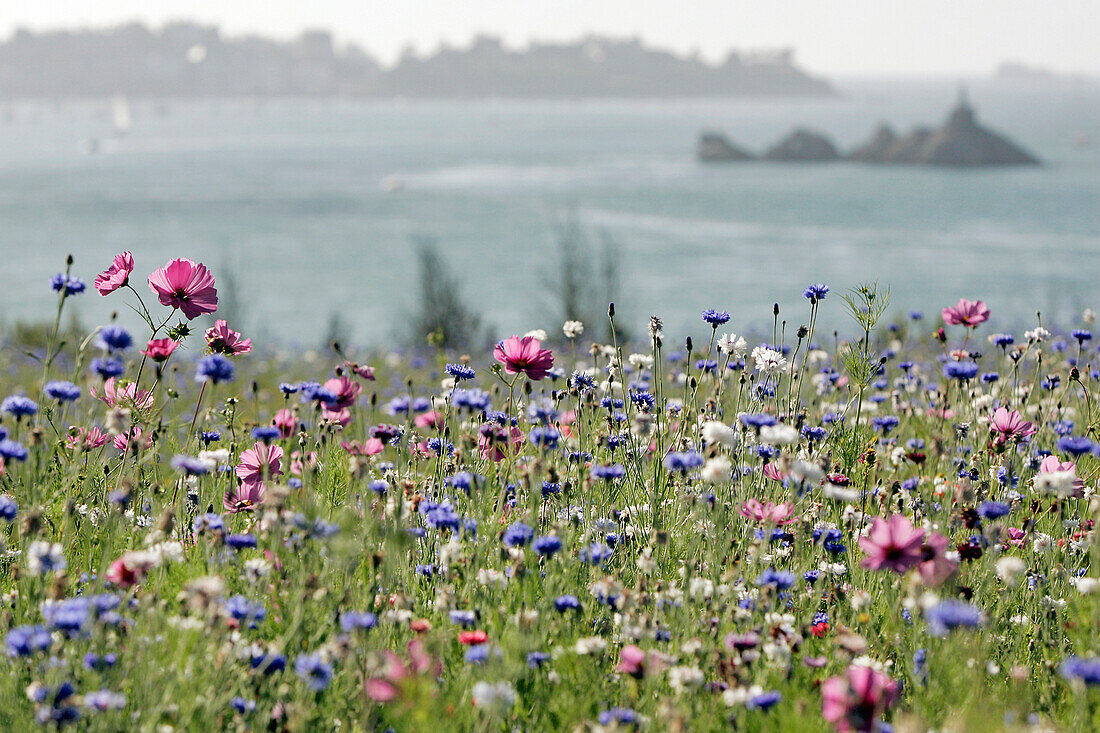 La Briantais Park, Saint-Servan, Saint-Malo, Ille-Et-Vilaine (35), France