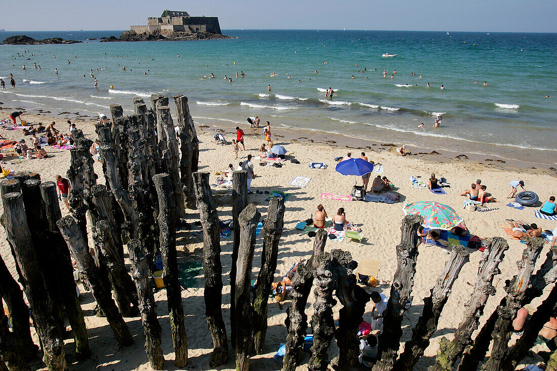 The Wooden Breakwaters And The Sillon Beach, Saint-Malo, Ille-Et-Vilaine (35), France