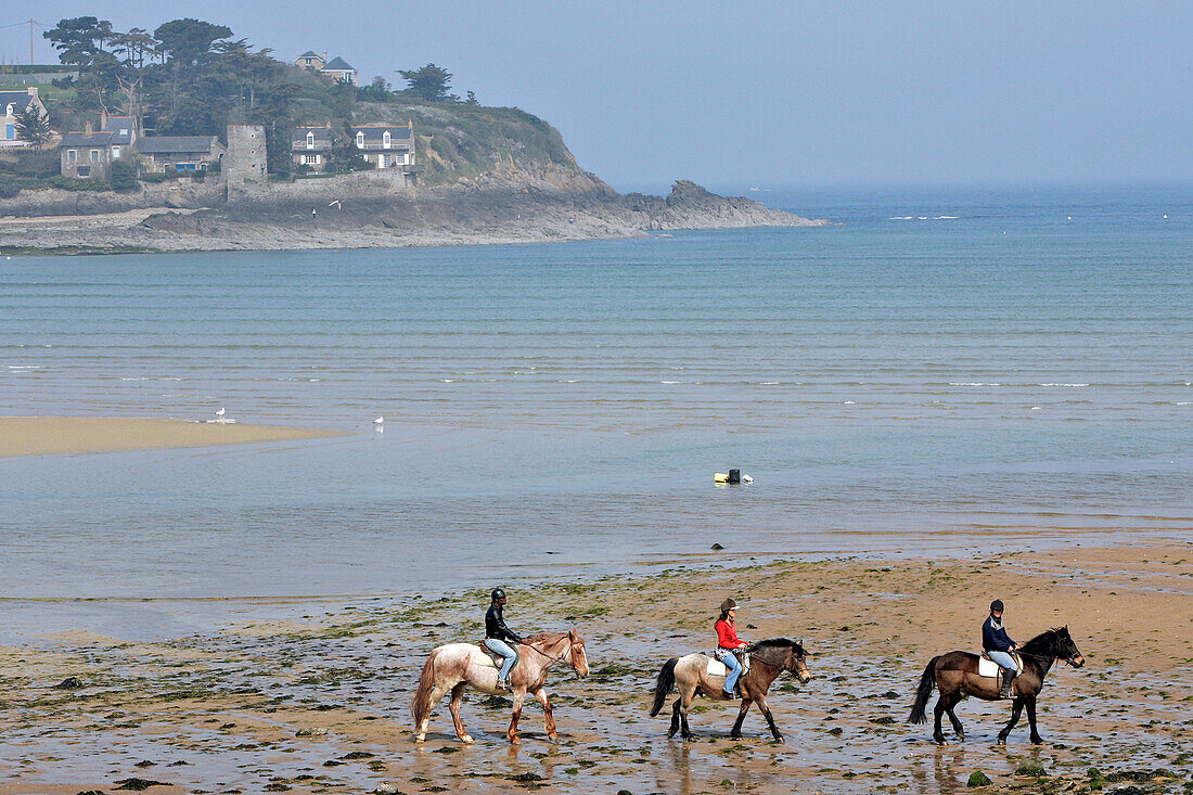 La Cravache' Equestrian Center, Horseback Riding On The Le Havre Beach, Saint-Malo, Ille-Et-Vilaine (35), France