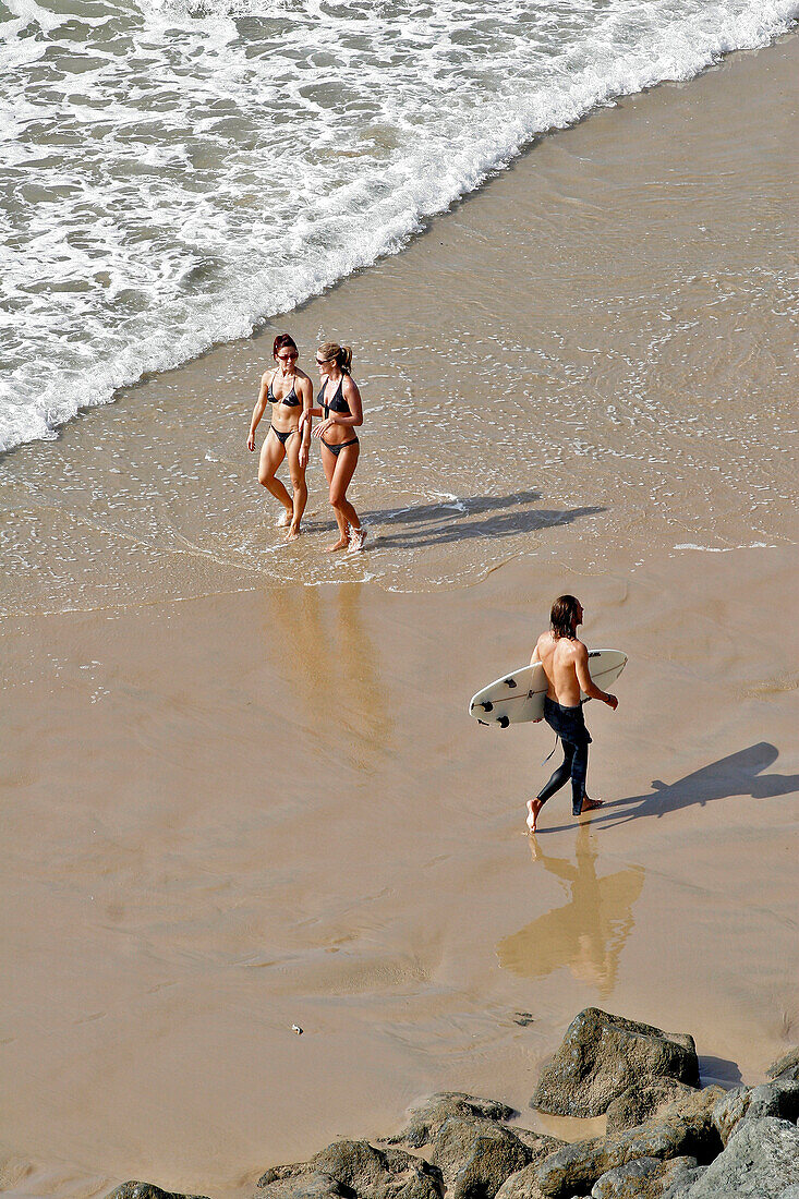 Surfer, Bathers, The Cote Des Basques Beach, Basque Country, Basque Coast, Biarritz, Pyrenees Atlantiques, (64), France