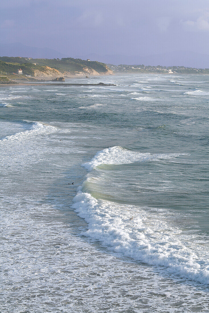 Cote Des Basques, Biarritz, Basque Country, Basque Coast, Pyrenees-Atlantique (64), France