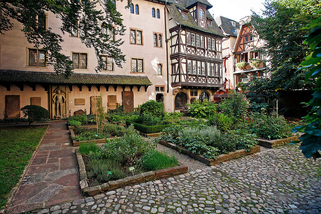 Garden At The Oeuvre Notre-Dame, Strasbourg, Bas-Rhin (67), Alsace, France