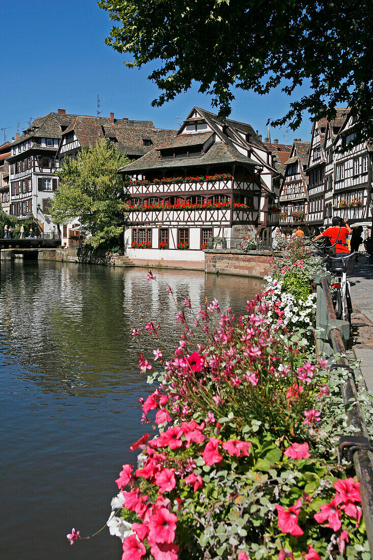 Bank Of The Ill, Petite France Quarter, Maison Des Tanneurs, Strasbourg, Bas-Rhin (67)