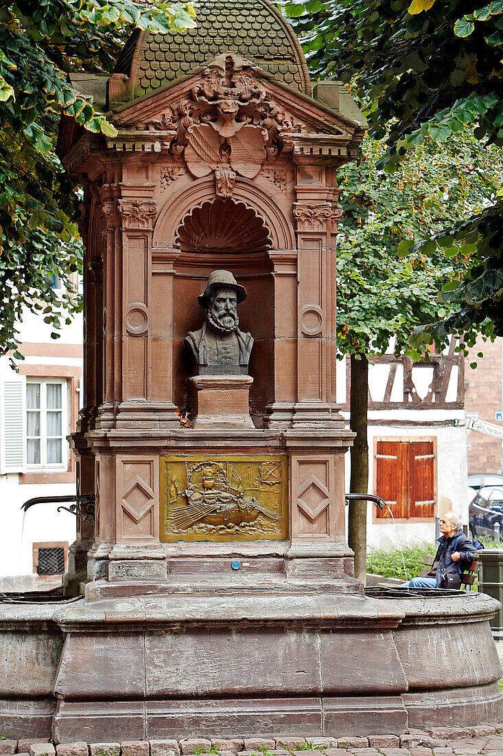 The Zurichois Fountain, Strasbourg, Bas Rhin (67), Alsace, France, Europe