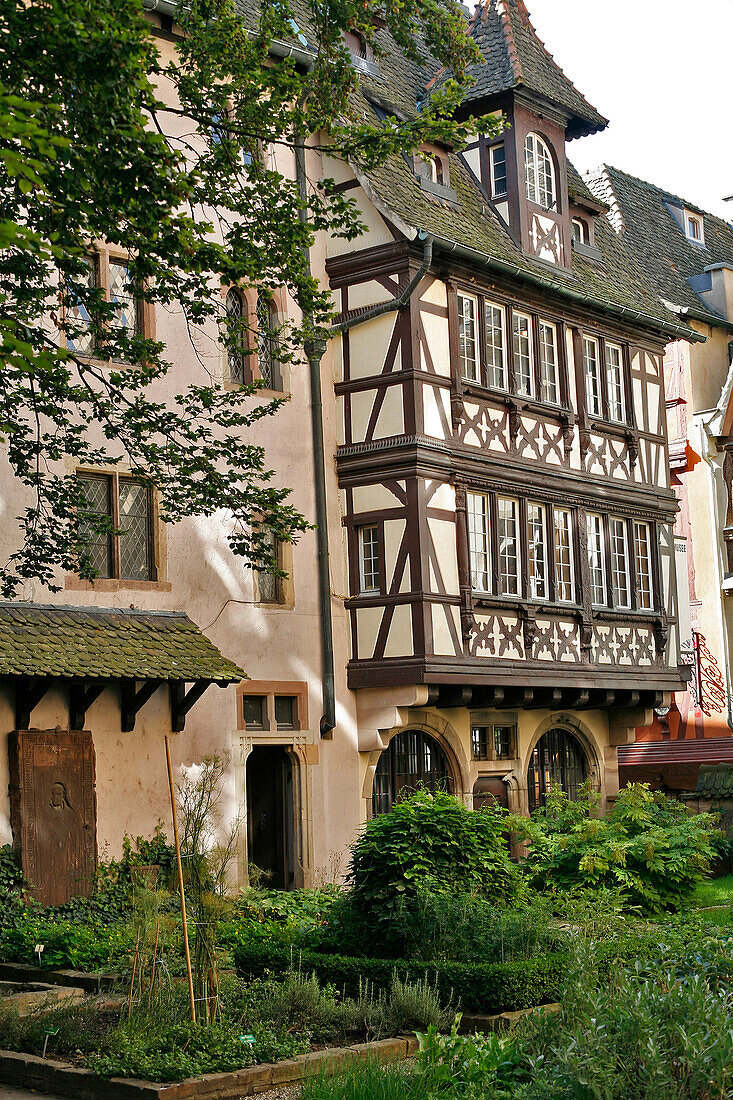 Gardens At The Oeuvre Notre-Dame, Strasbourg, Bas Rhin (67), Alsace, France, Europe