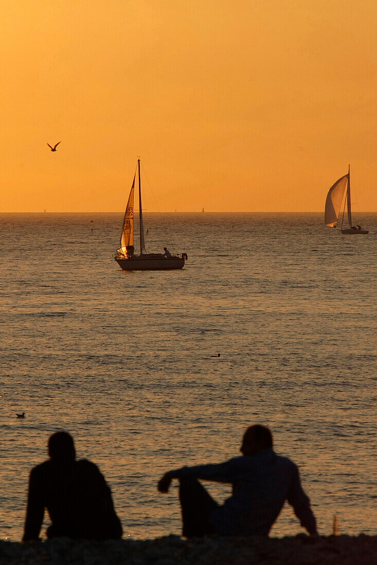 Relaxing On The Shingle Beach At Sunset, Le Havre, Normandy, Seine Maritime (76)