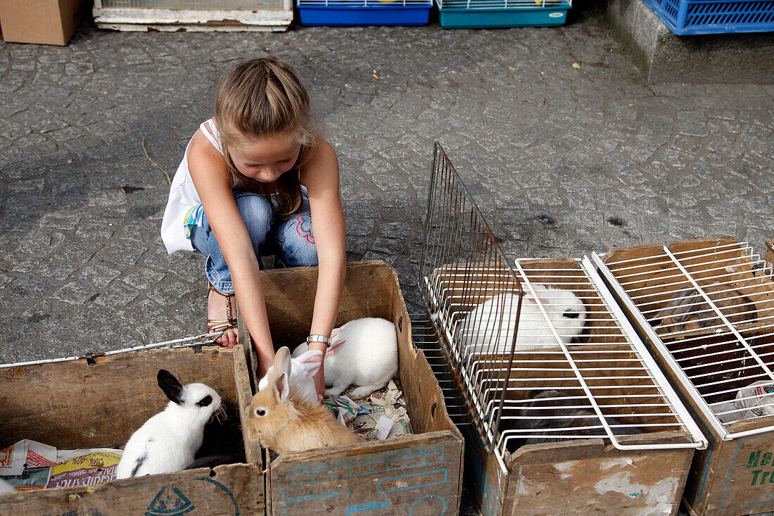 Little Girl In The Pet Market With Dwarf Rabbits And Poodles, The Market In Harfleur Near Le Havre, Seine-Maritime (76), Normandy, France