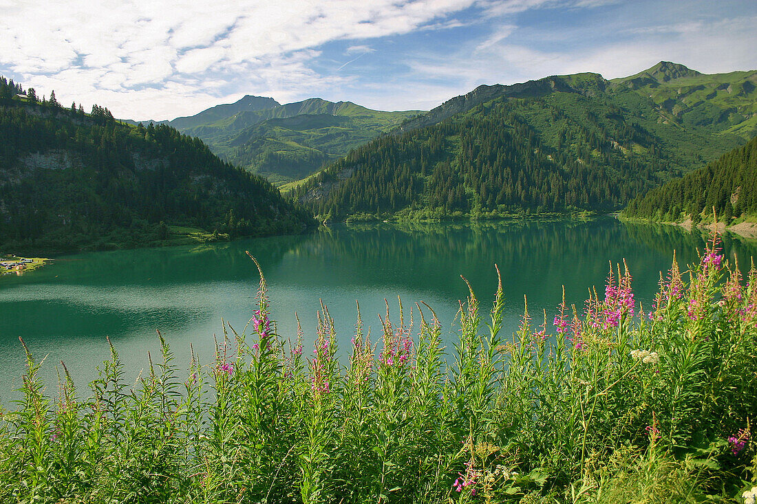 Roseland Lake In The Alps, Savoy (73), France