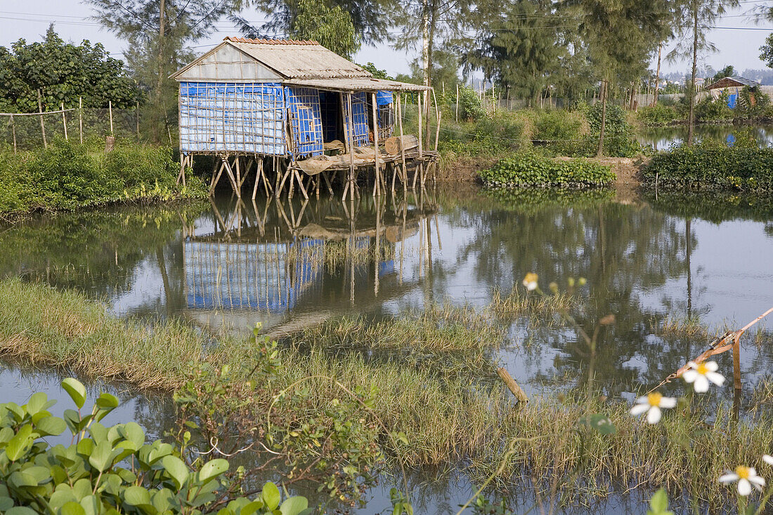 Fischerhütte auf Stelzen am Fluss, Provinz Quang Nam, Vietnam, Asien