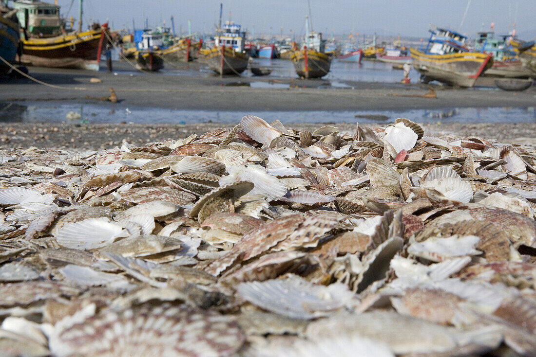 Shells and fishing boats at the harbour of Mui Ne, Binh Thuan Province, Vietnam, Asia