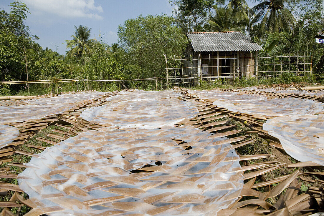 Reispapier Herstellung, Reispapier trocknet im Sonnenlicht, Mekongdelta, Provinz Can Tho, Vietnam, Asien