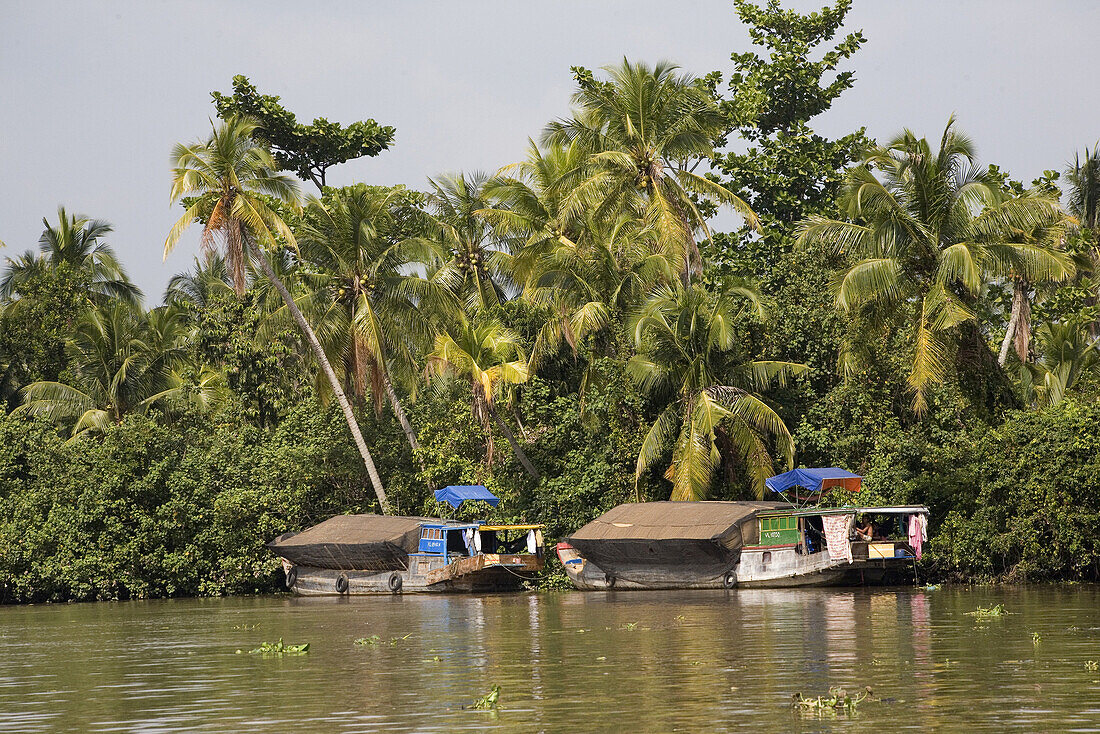 Boote auf dem Fluss Mekong, Mekong Delta, Provinz Can Tho, Vietnam, Asien