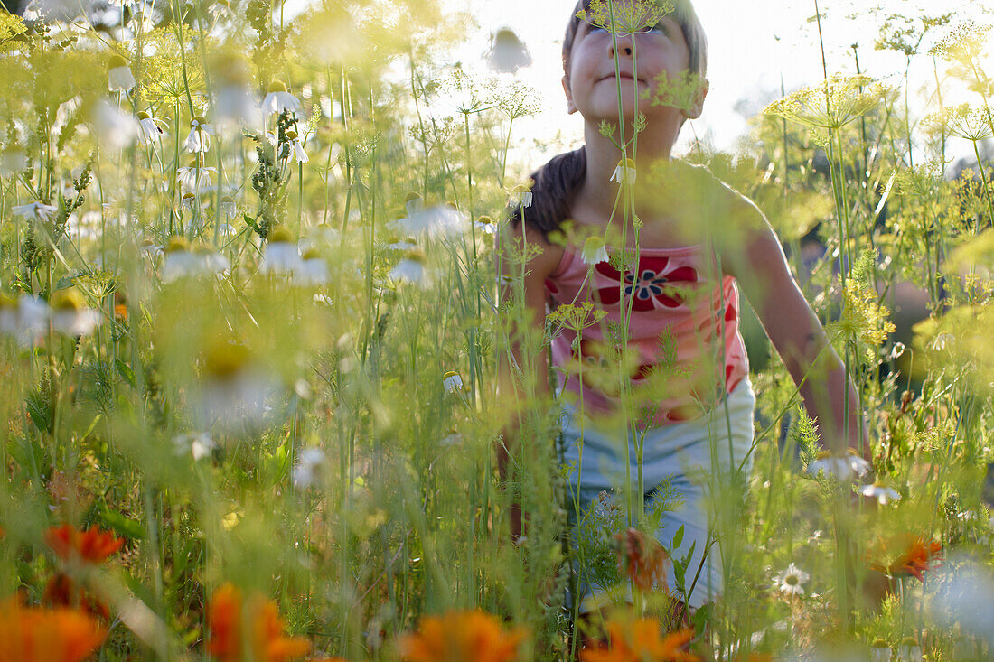 Mädchen (6-7 Jahre) riecht an Blüten, Niedersachsen, Deutschland