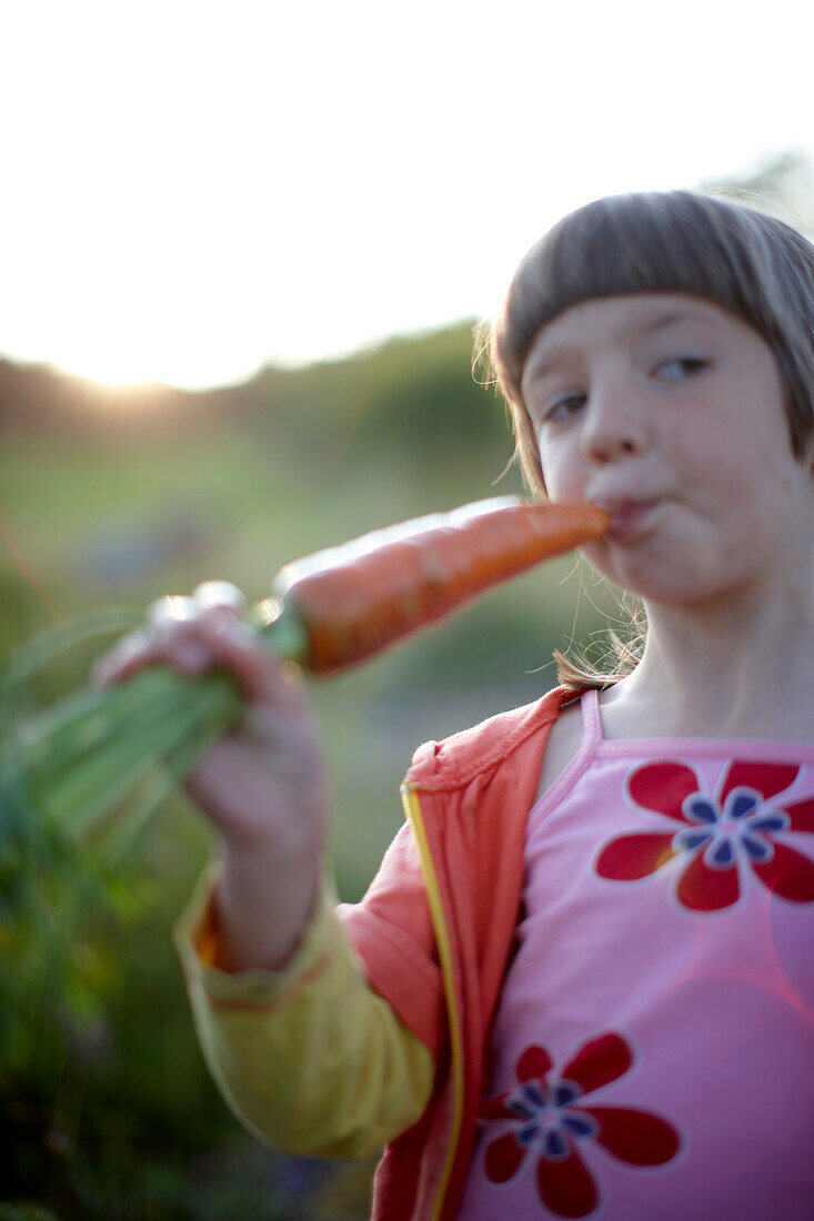 Girl (6-7 years) eating a carrot, Lower Saxony, Germany