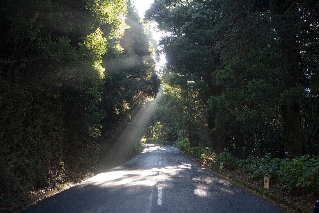 Morgendliche Sonnenstrahlen über Straße am Encumeada Pass, nahe Serra de Agua, Madeira, Portugal