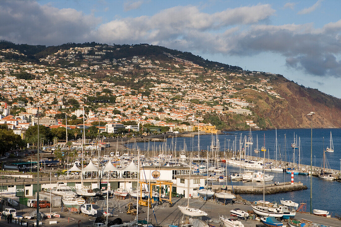 View over Funchal Marina from Jardim de Santa Catarina Gardens, Funchal, Madeira, Portugal