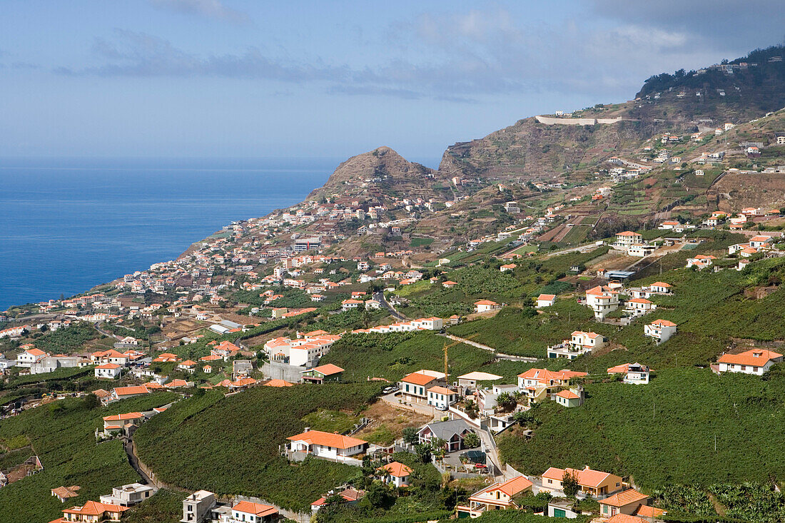Blick über Häuser und Weinberge der Madeira Wine Company, Estreito de Camara de Lobos, Madeira, Portugal