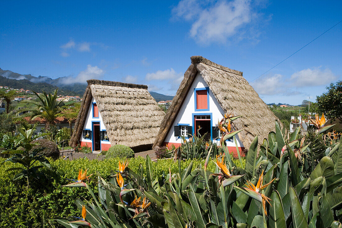 Traditionelle Casas de Colmo Strohhäuschen, Santana, Madeira, Portugal