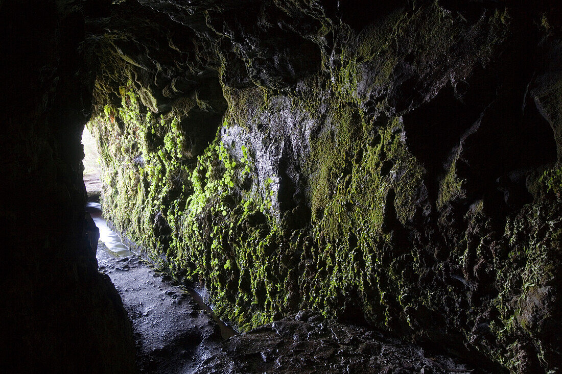 Tunnel on Levada do Caldeiro Verde Walk, Queimadas, Madeira, Portugal