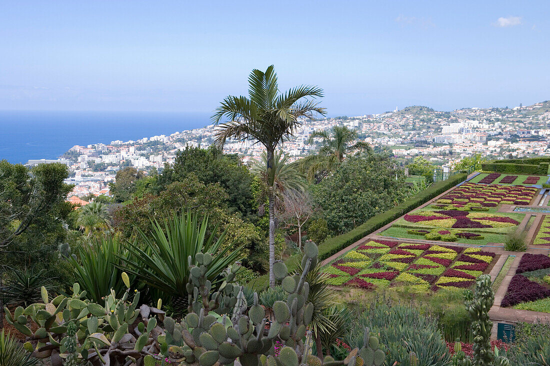 Jardim Botanico Botanical Garden, Funchal, Madeira, Portugal