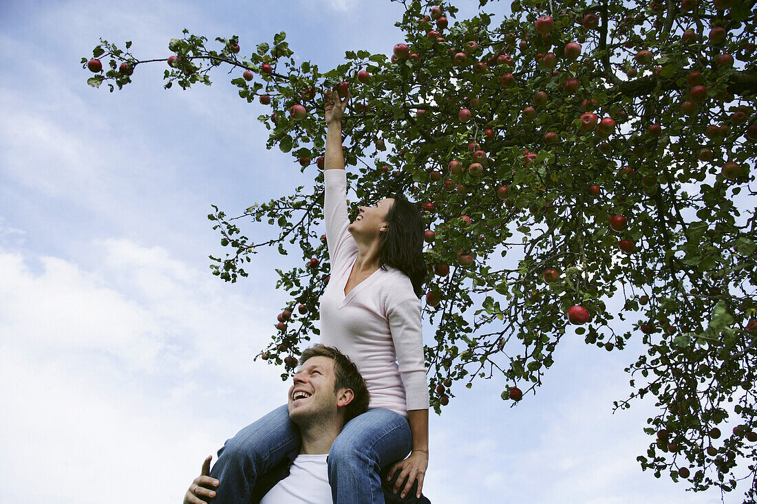 Frau auf der Schulter von einem Mann streckt sich nach einem Apfel, Steiermark, Österreich