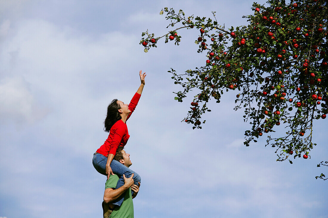 Woman on man's shoulders, reaching for an apple, Styria, Austria