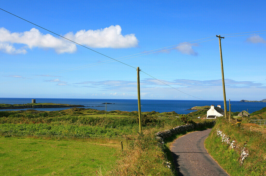 Landstrasse im Sonnenlicht und Blick auf den Atlantik, Mizen Head Halbinsel, County Cork, Suedwestkueste, Irland, Europa