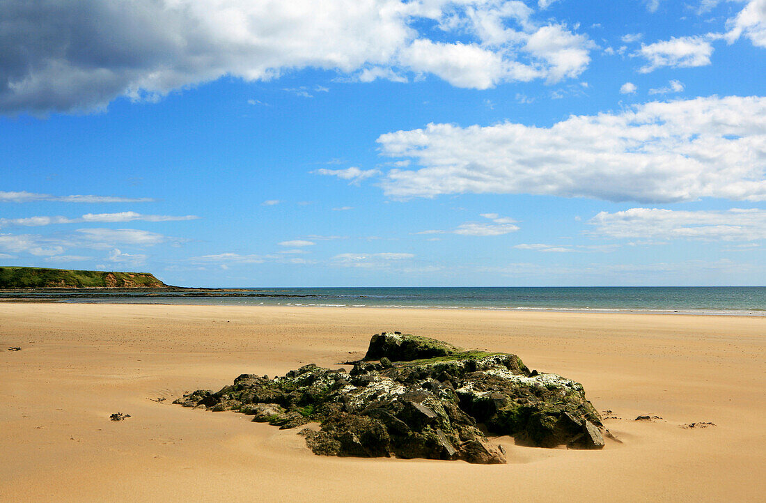 Fels an menschenleerem Strand, Whiting Bay Beach, County Waterford, Südküste, Irland, Europa