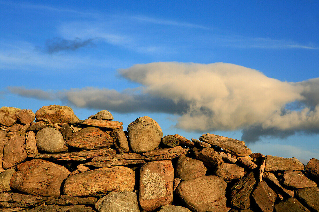 Traditional stone wall in the evening light, Ring of Beara, Beara Peninsula, County Cork, southwest coast, Ireland, Europe