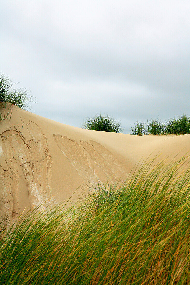 Sanddüne am Strand unter Wolkendecke, Inch, Dingle Halbinsel, County Kerry, Westküste, Irland, Europa
