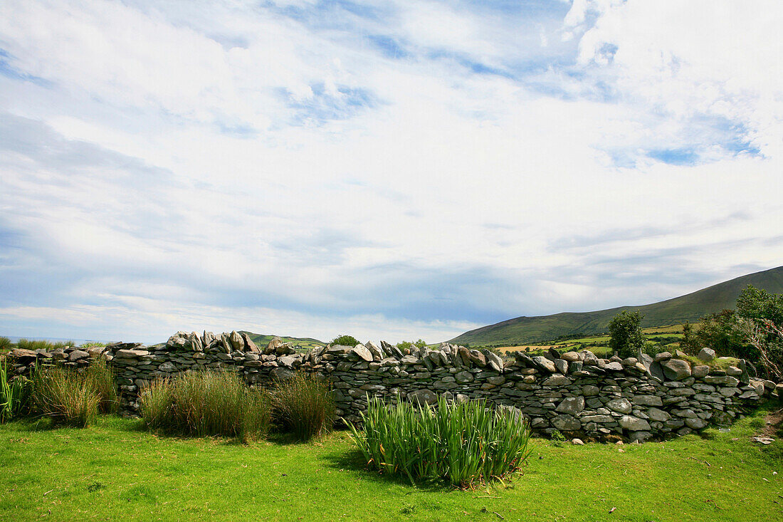Weide mit traditioneller Steinmauer, Ballyduff, Dingle Halbinsel, County Kerry, Westkueste, Irland, Europa