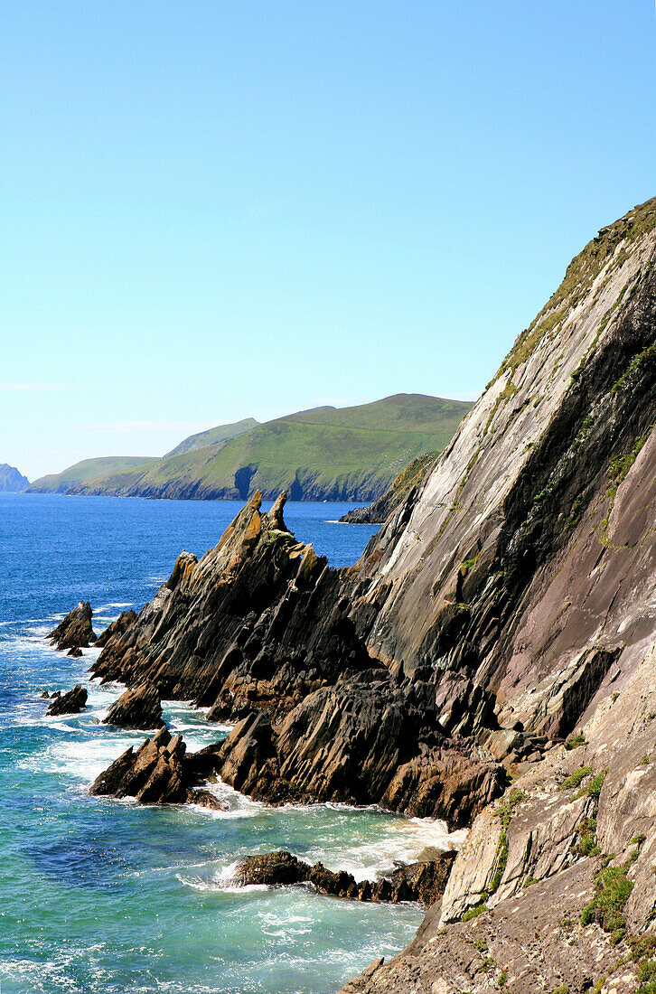 Klippe am Slea Head mit Blick auf die Blasket Islands, Slea Head, Dingle Halbinsel, County Kerry, Westkueste, Irland, Europa