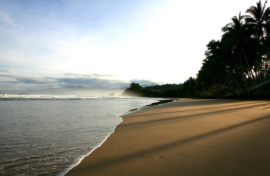 Morgensonne scheint durch die Kokospalmen auf den Strand, Sabang, Palawan, Philippinen, Asien