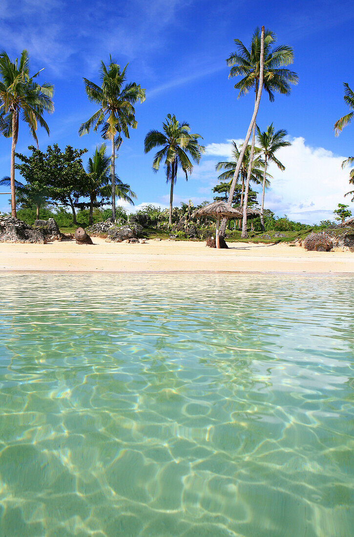 Palmen am Strand unter blauem Himmel, Paradise Beach, Bantayan, Cebu, Visayas, Philippinen, Asien