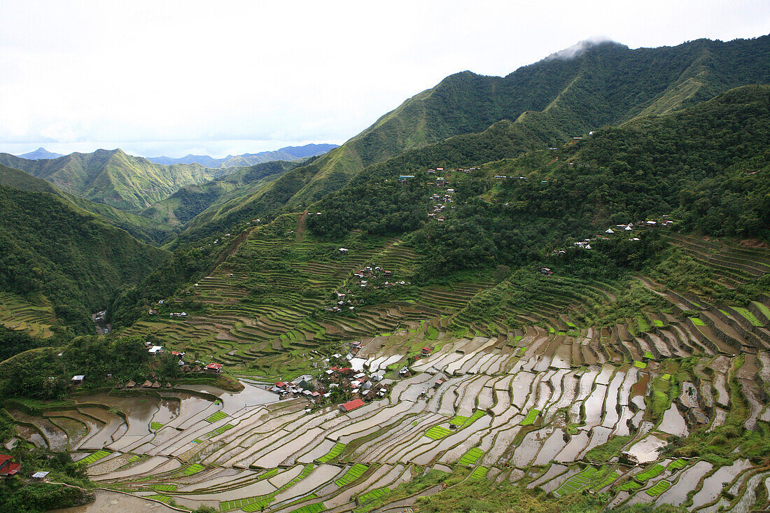 Blick auf die Reisterrassen von Batad, Achtes Weltwunder, Banaue, Luzon, Philippinen, Asien