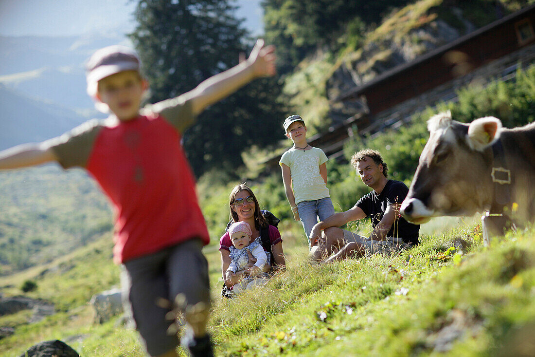 Familie und Kühe auf einer Alm, Pflerschtal, Südtirol, Trentino-Alto Adige, Italien