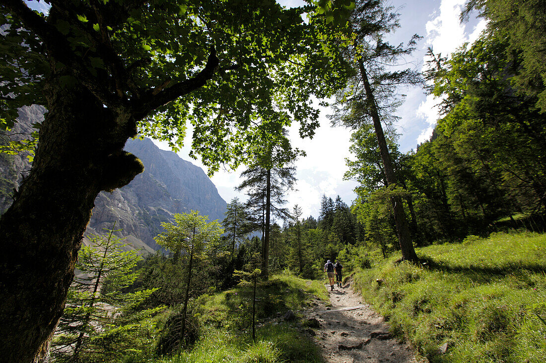 Hiking trail to mount Zugspitze, Rein valley, near Garmisch, Bavaria, Germany